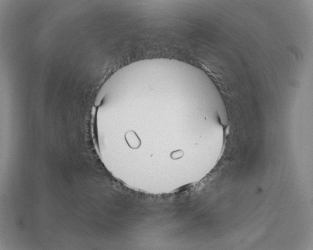 X0000112030192200909141104