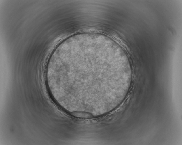 X0000112030193200909141104