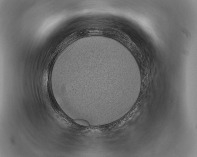 X0000112030194200909141104