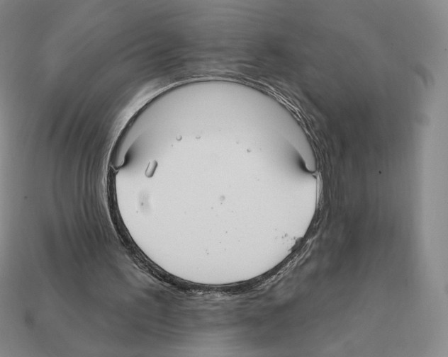 X0000112030195200909141104