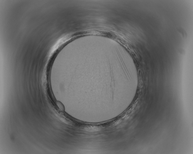 X0000112030198200909141104