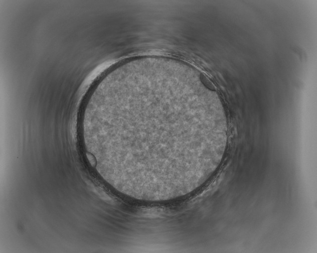 X0000112030200200909141104