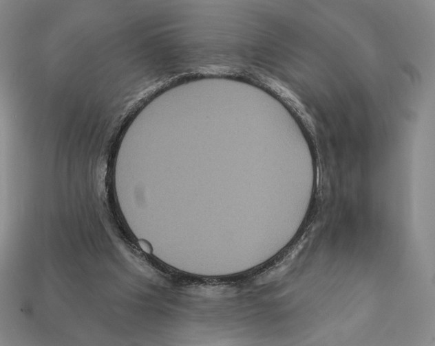 X0000112030201200909141104