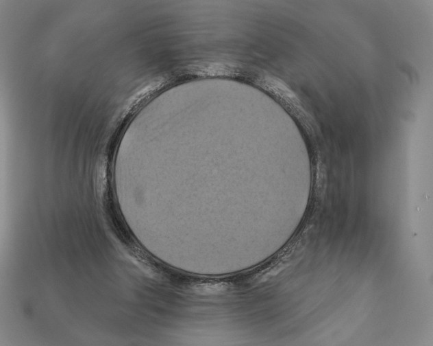 X0000112030202200909141104