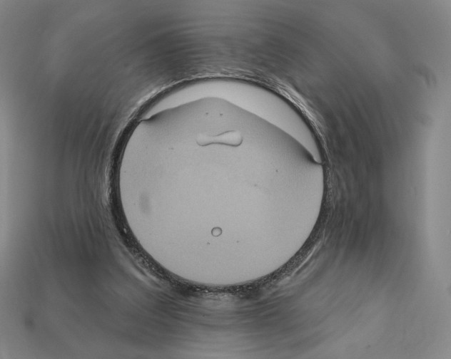 X0000112030203200909141104