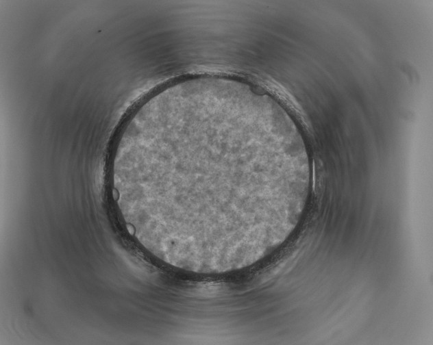 X0000112030204200909141104
