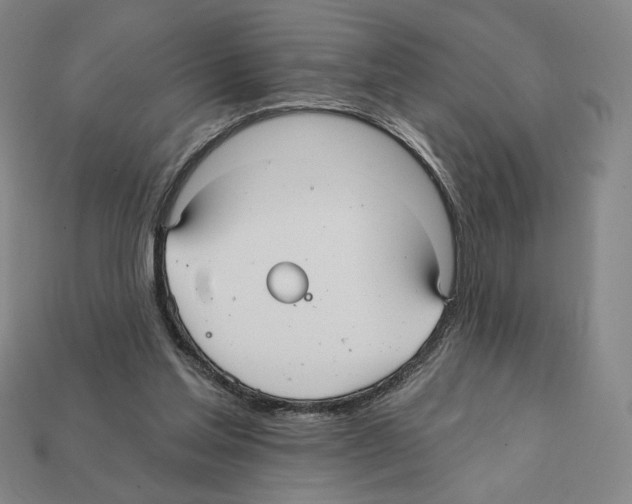 X0000112030205200909141104