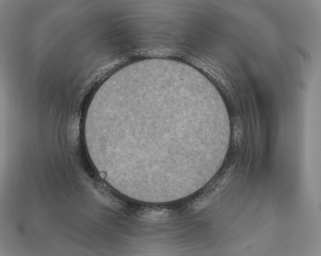 X0000112030206200909141104