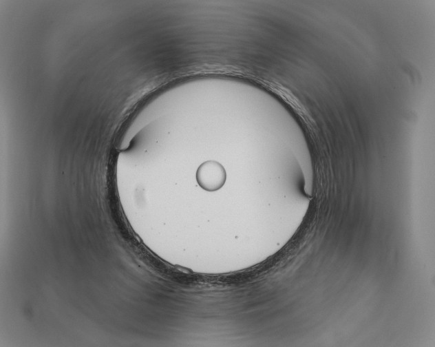 X0000112030207200909141104