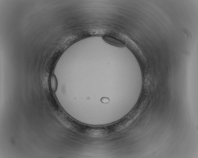 X0000112030209200909141103