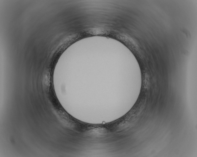 X0000112030210200909141103
