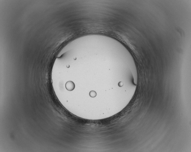 X0000112030211200909141103