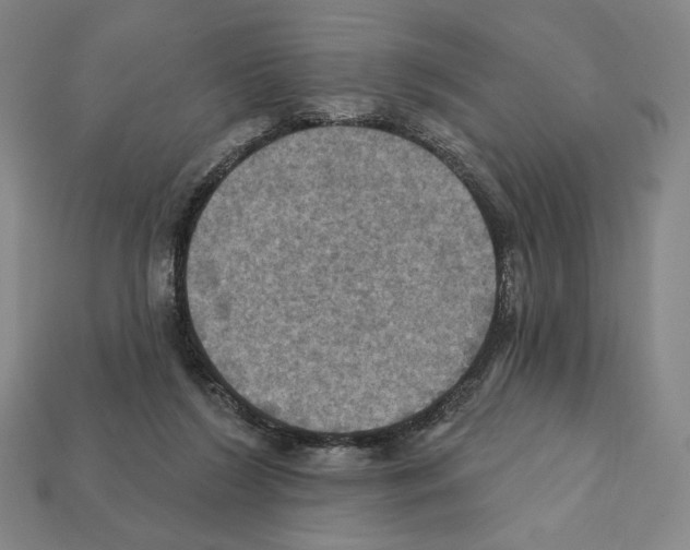 X0000112030212200909141103