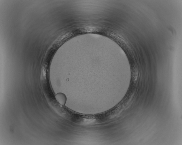 X0000112030214200909141103