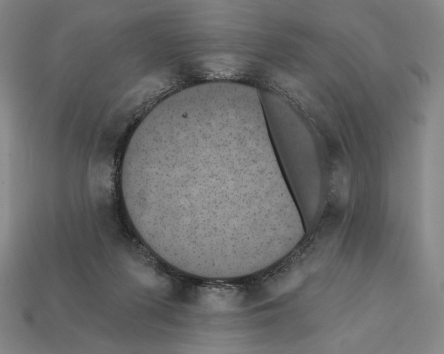 X0000112030215200909141103