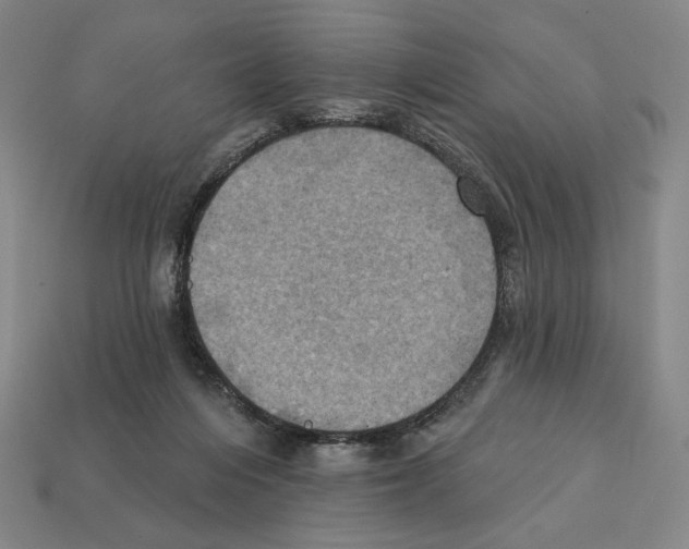 X0000112030216200909141103