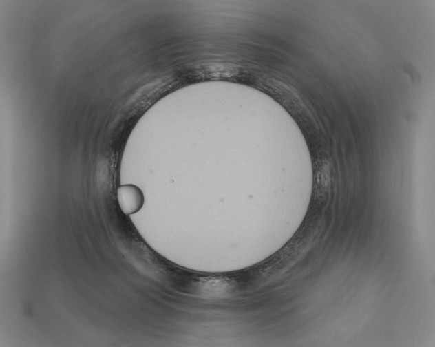 X0000112030218200909141103