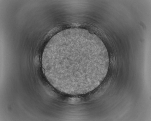 X0000112030220200909141103
