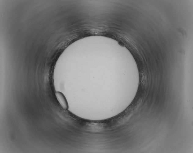 X0000112030221200909141103