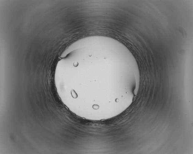 X0000112030223200909141103
