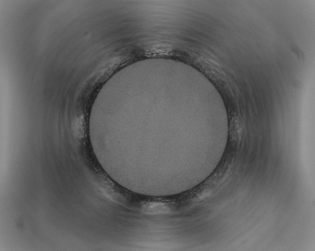 X0000112030224200909141103