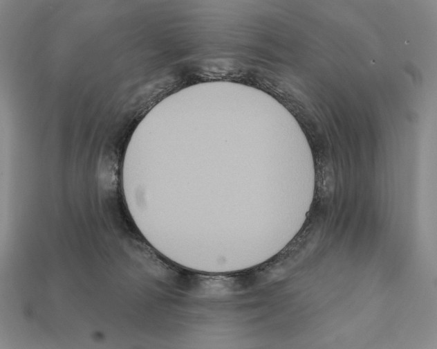 X0000112030226200909141103