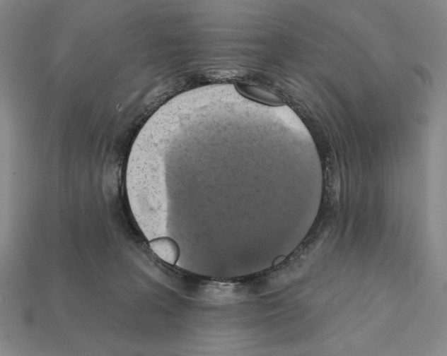 X0000112030227200909141103