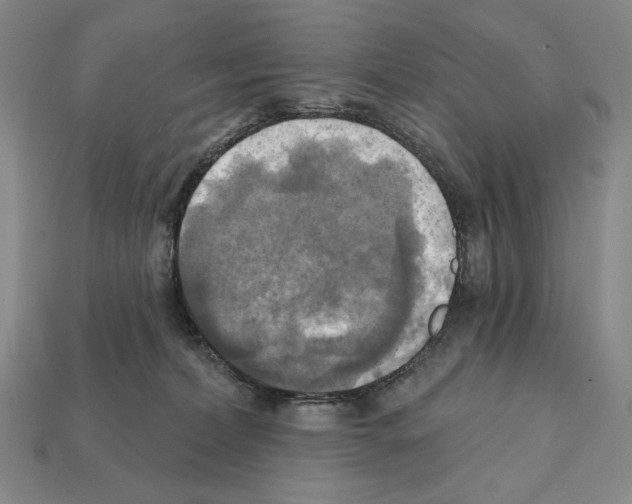 X0000112030228200909141103