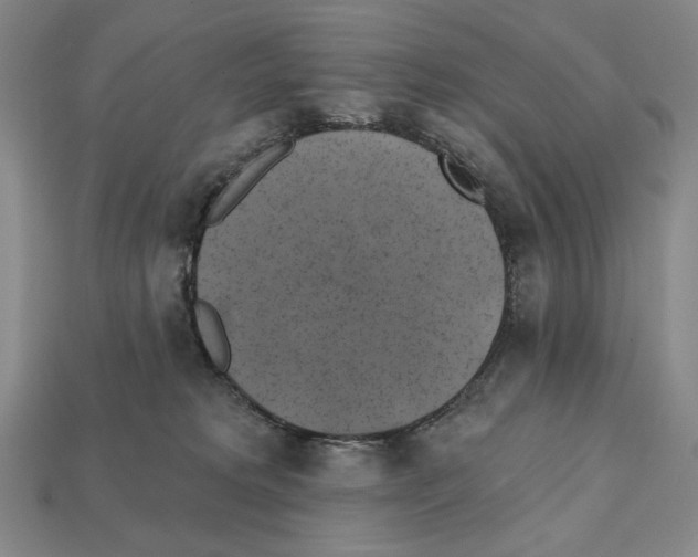 X0000112030229200909141103