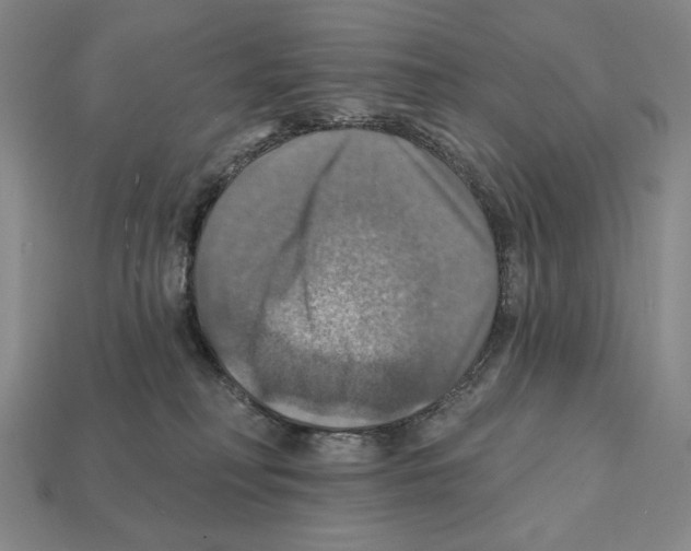 X0000112030230200909141103