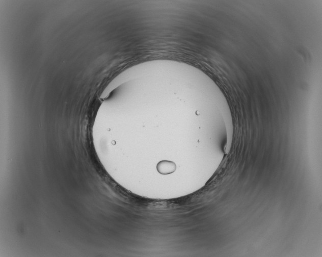 X0000112030231200909141103