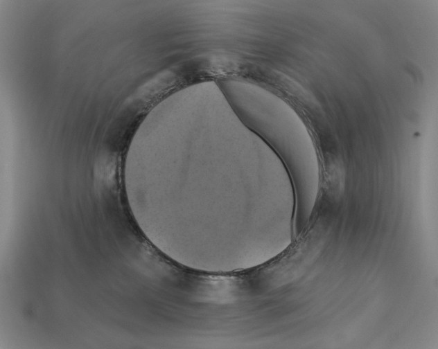 X0000112030233200909141103
