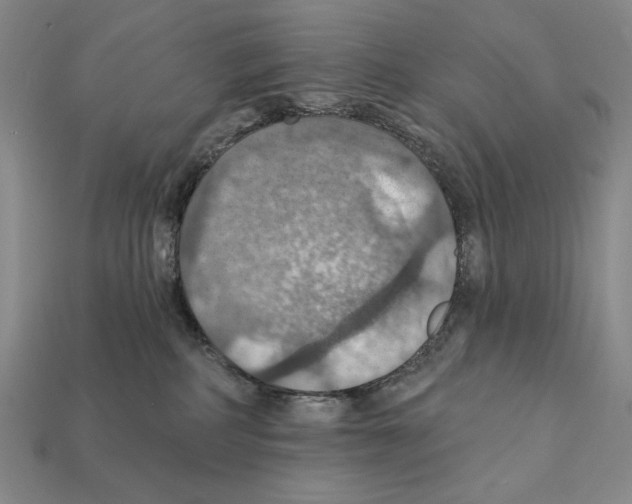 X0000112030234200909141103