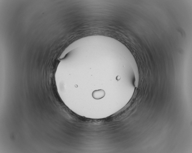 X0000112030235200909141103