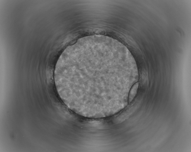 X0000112030236200909141103