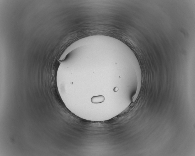 X0000112030237200909141103