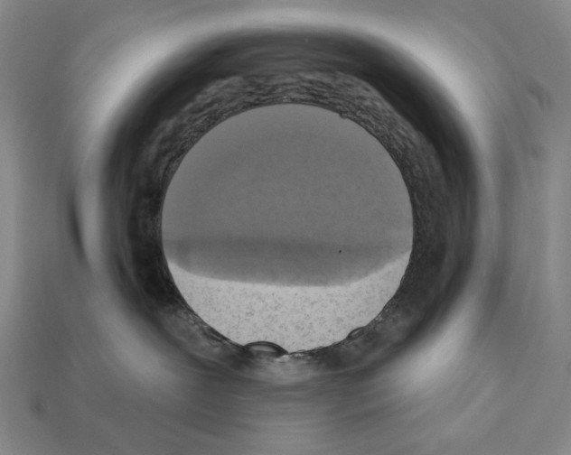 X0000112030239200909141103