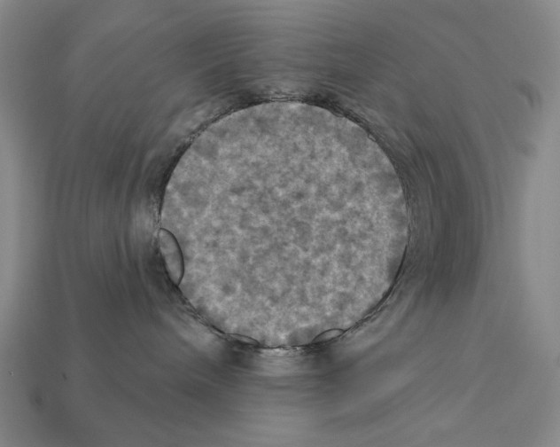 X0000112030240200909141103