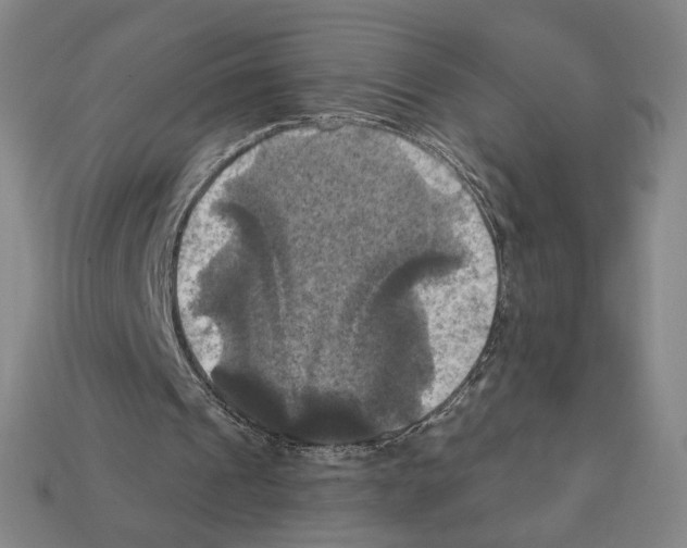 X0000112030241200909141102