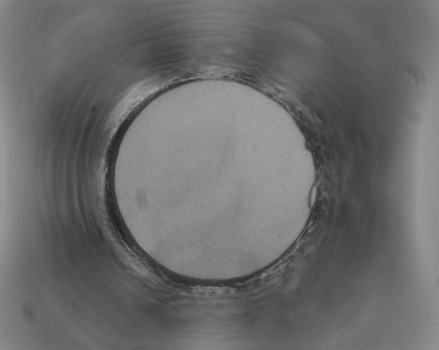 X0000112030242200909141102