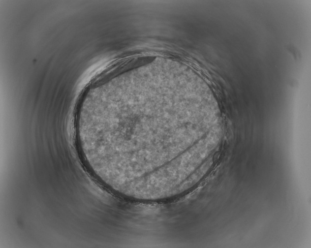 X0000112030245200909141102