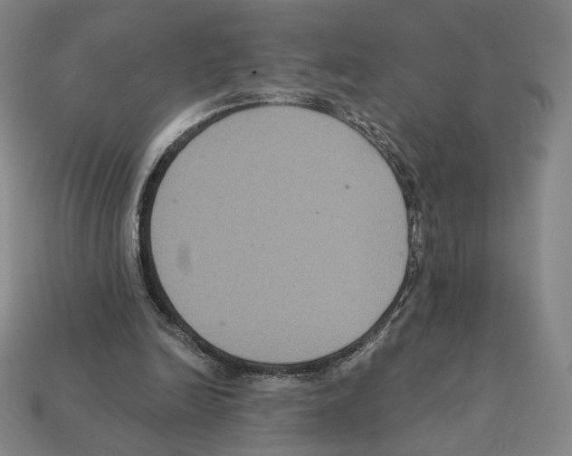 X0000112030246200909141102