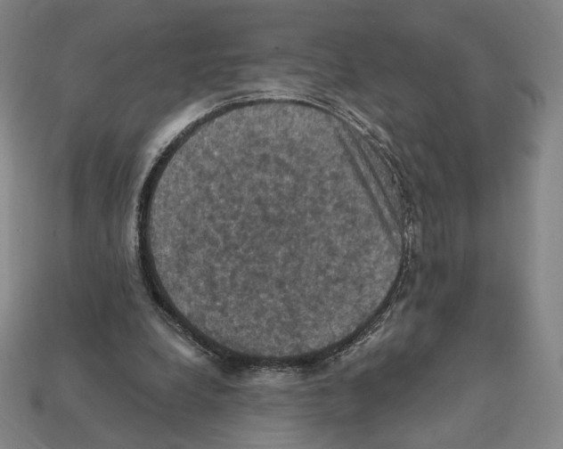 X0000112030248200909141102