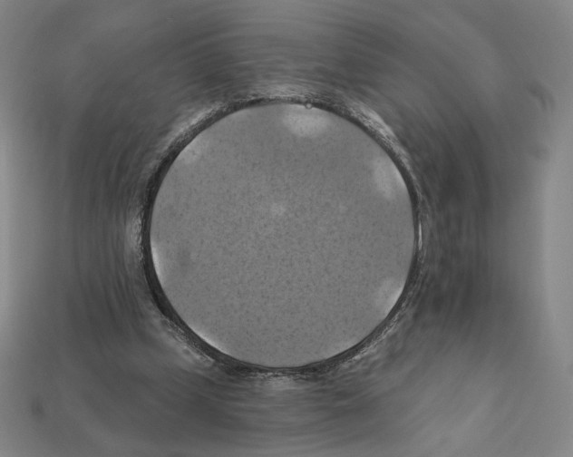 X0000112030249200909141102