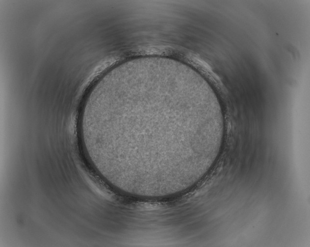 X0000112030250200909141103