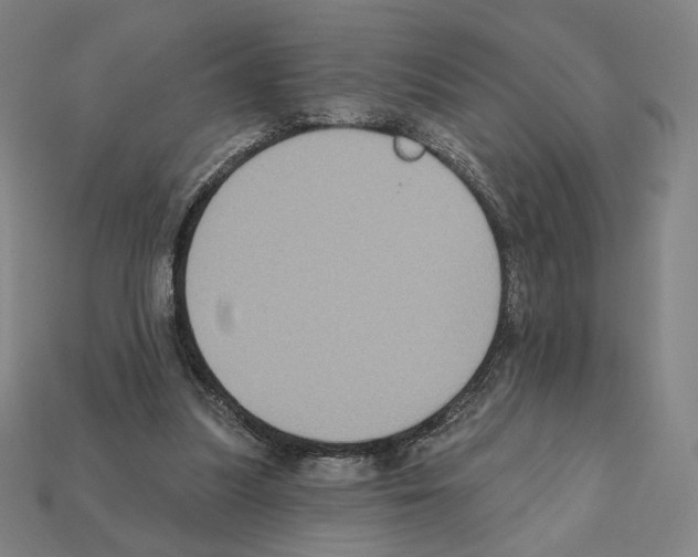 X0000112030251200909141103