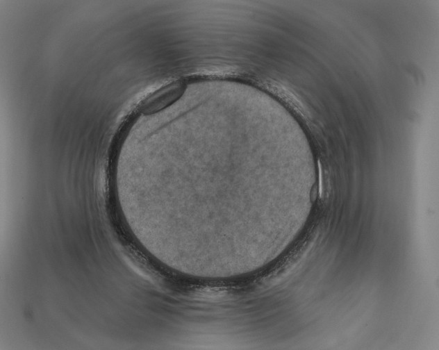 X0000112030252200909141103