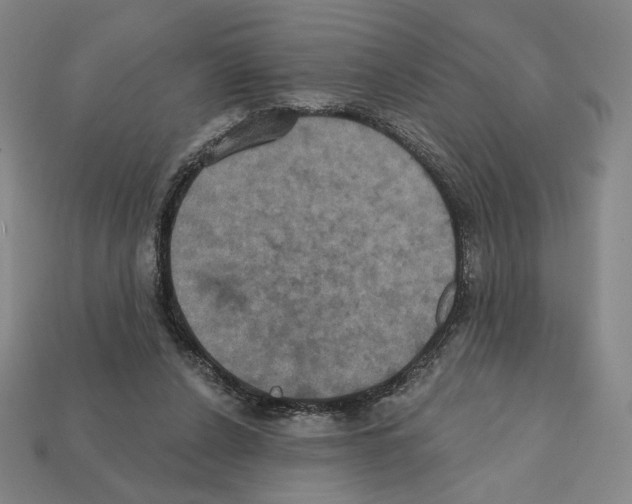 X0000112030256200909141103