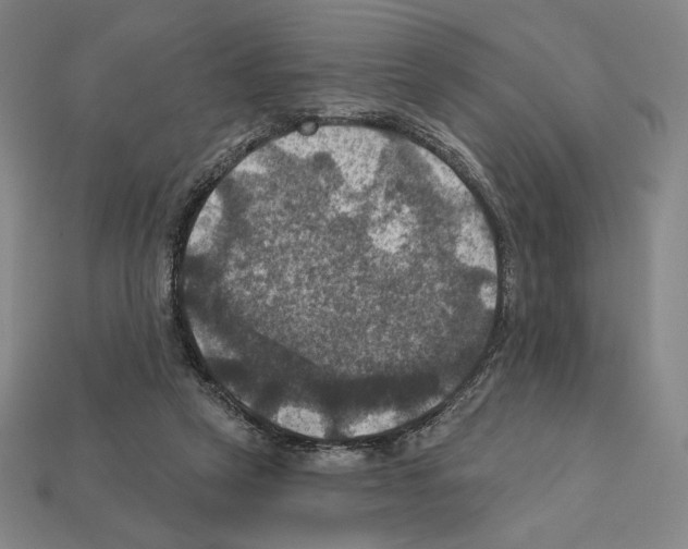 X0000112030257200909141103