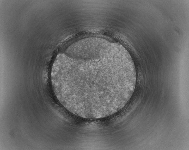 X0000112030259200909141103